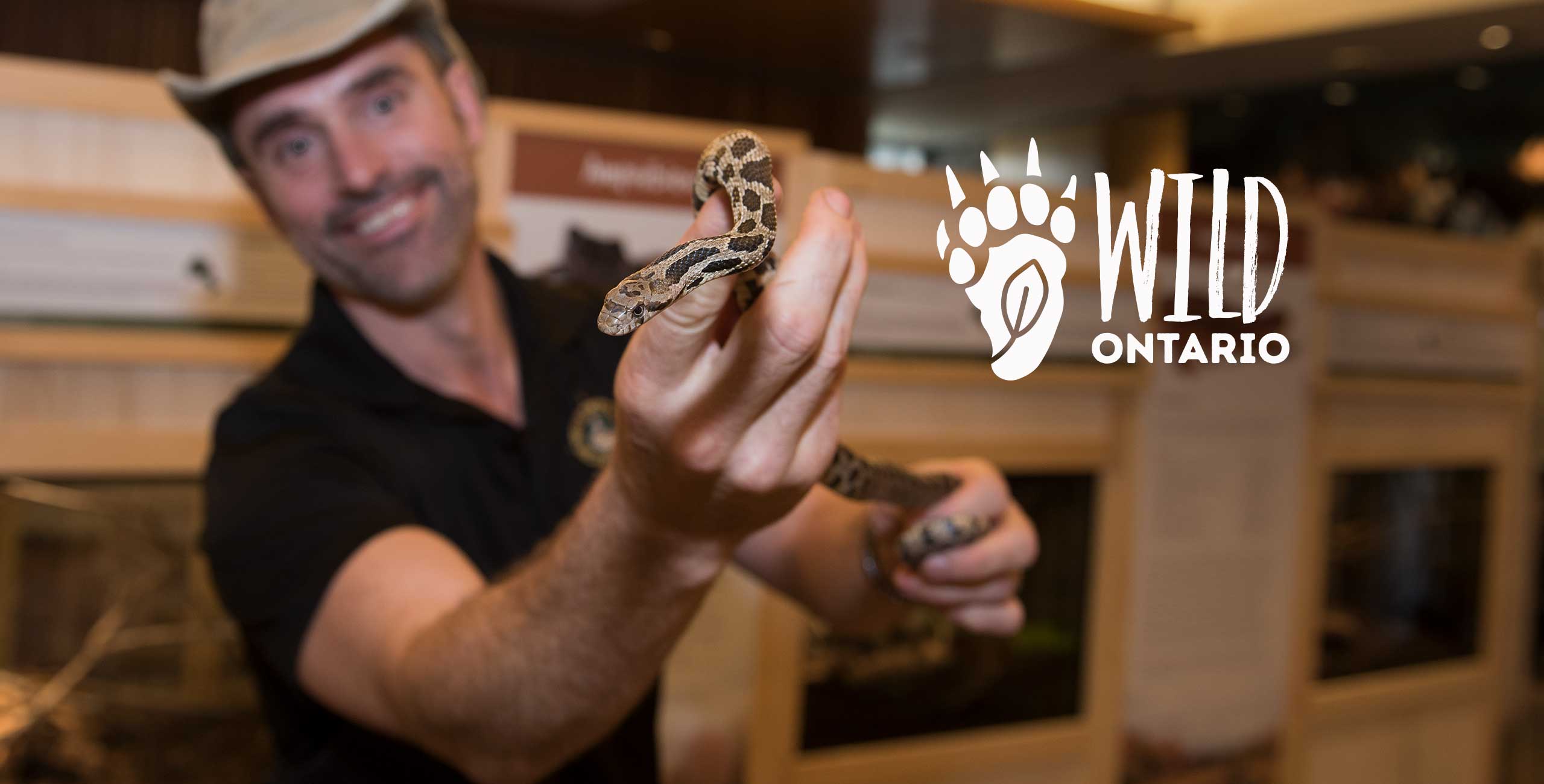 L’exposition Wild Ontario est de retour au Niagara Parks Butterfly Conservatory