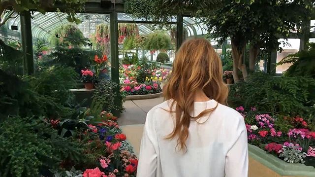 Enjoy the spectacular colours of the Annual Spring Show on display at the Floral