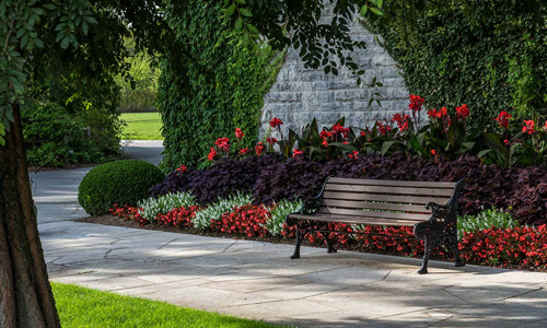 Memorial Trees & Benches