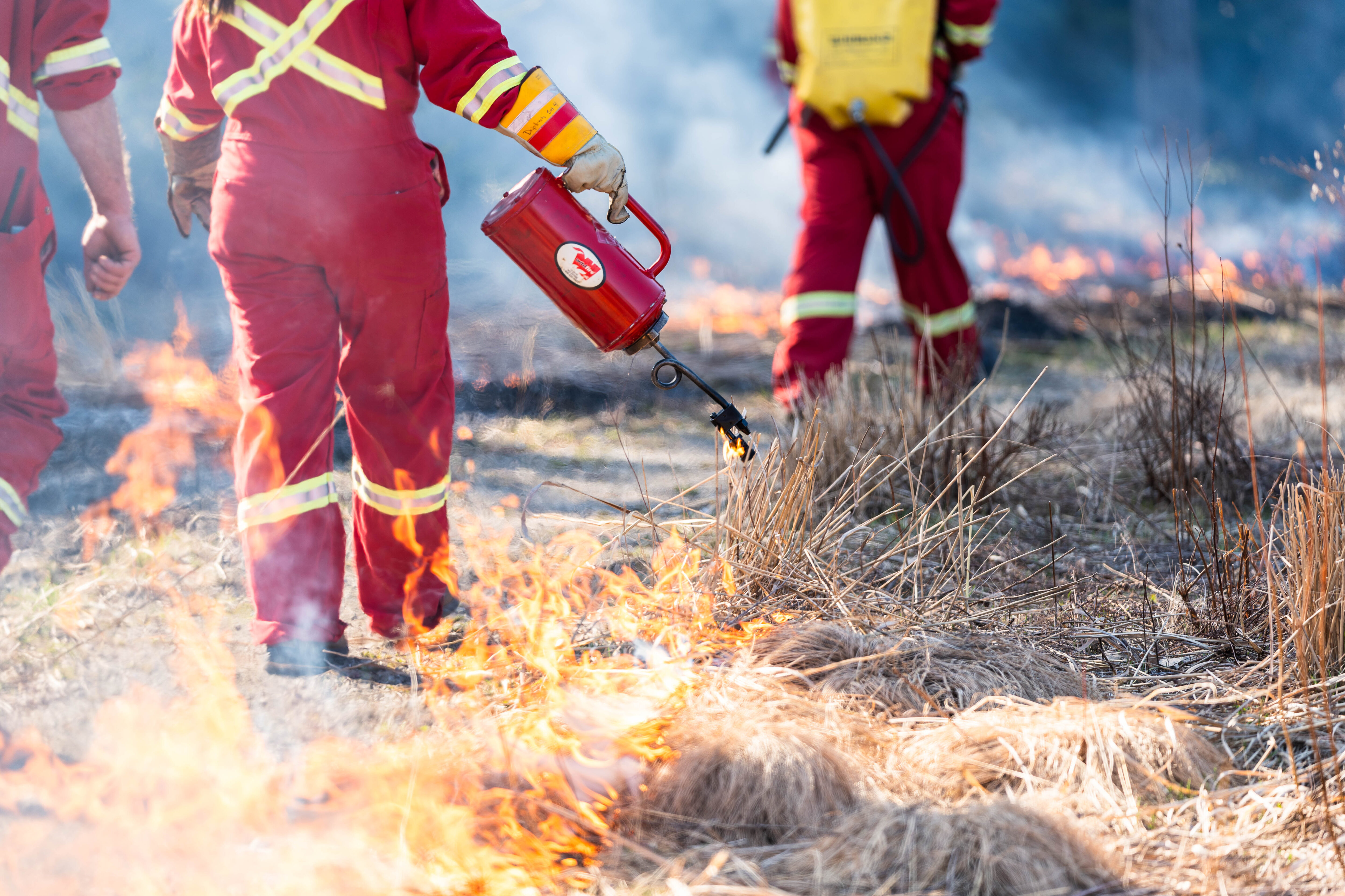 2025 Annual Prescribed Burn Program Underway at Niagara Parks